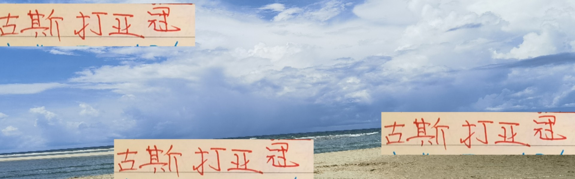 开云官方网站-海港两个悬疑终于破了！ 古斯塔沃打亚冠 三小将打不了成都比赛