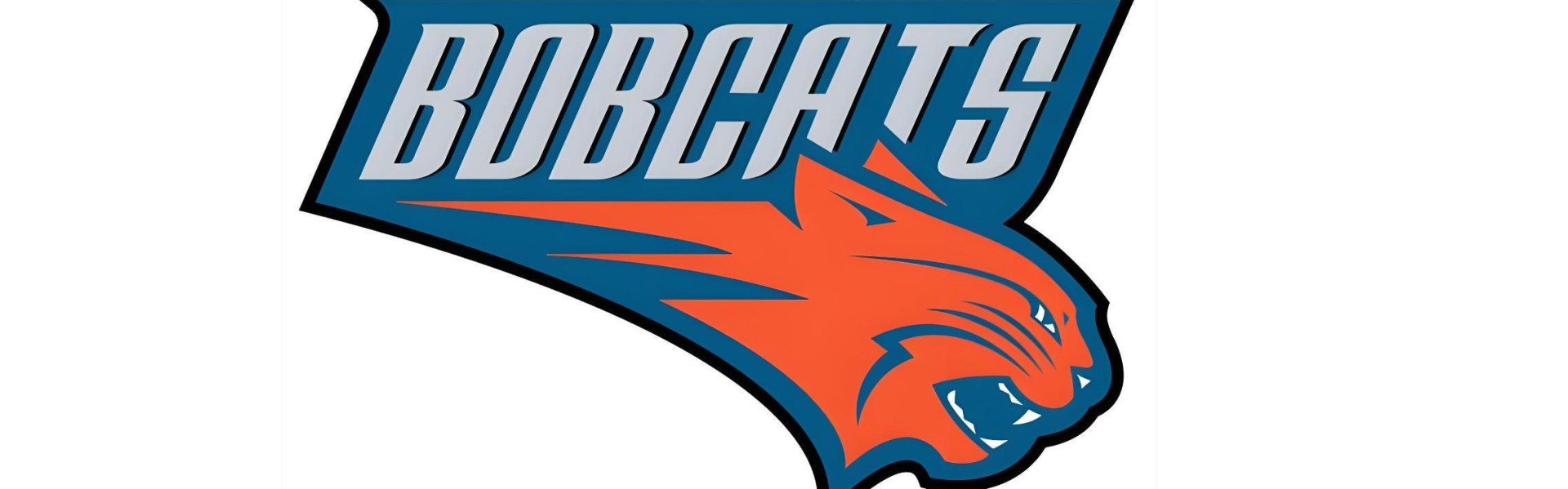 开云官方网站-2004年联盟新军夏洛特山猫是如何折磨全联盟的？