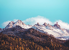 开云体育官方网站-大胡子：没有料到艾弗森会这么爱我，他永远是我的偶像&amp;amp;好大哥